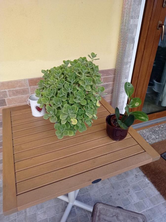 I Nuraghi II Lägenhet Cagliari Exteriör bild